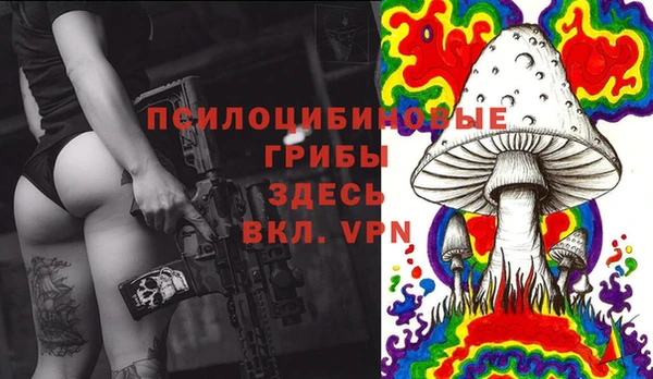 герыч Бородино