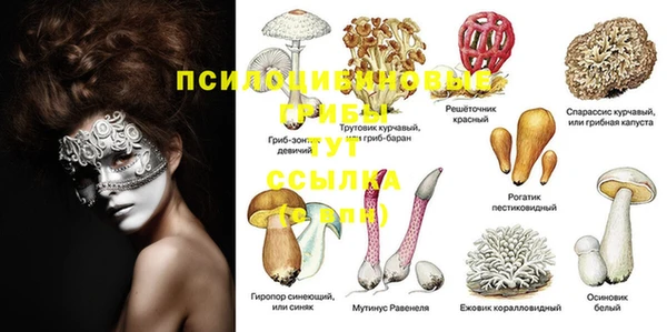 ECSTASY Бронницы